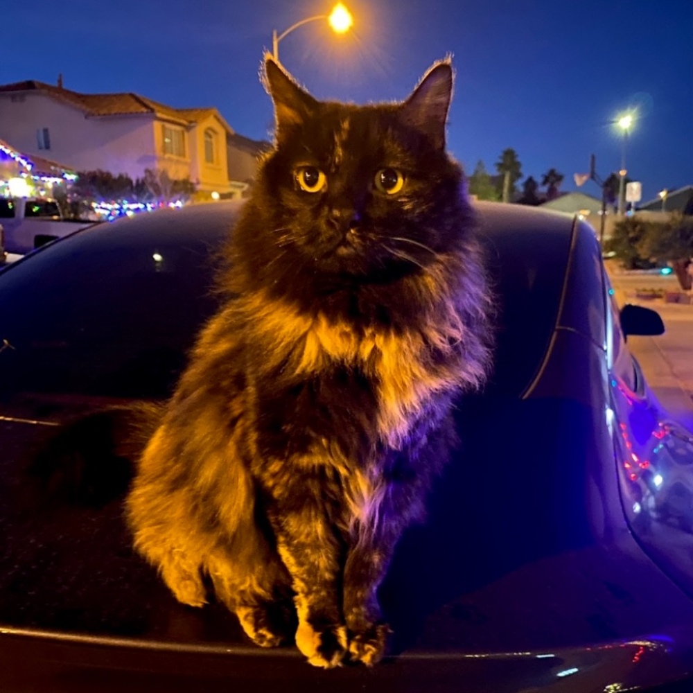 Meet your Posher, Joseph